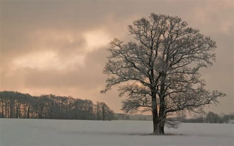 How To Celebrate The Winter Solstice Like The Ancients