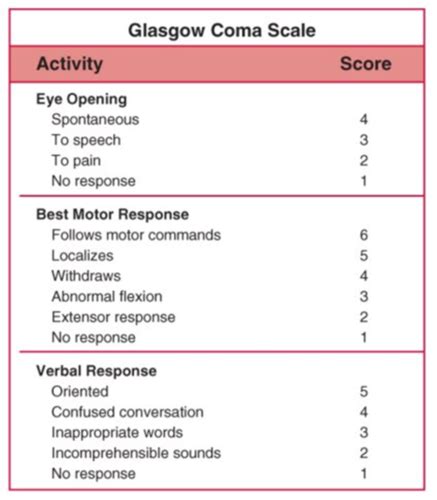 Mental Status And Higher Cortical Functioning Flashcards Quizlet