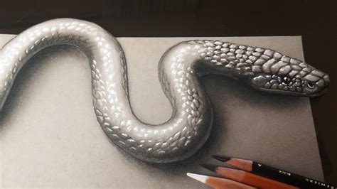 Drawing Snake Cobra Snake Drawings Easy Snake Drawings Snake Drawing ...