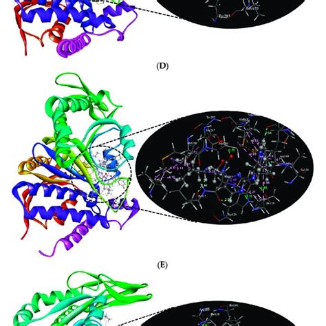 The receptor-ligand 3D interaction of reference compound (A) (RC-01),... | Download Scientific ...