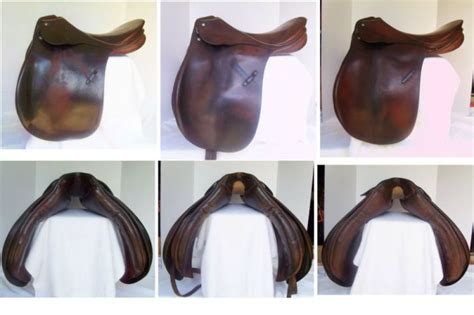 Do Passier saddles run wide or narrow? | The Horse Forum