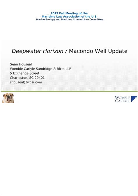 PDF Deepwater Horizon Update Houseal PPT 5 DOKUMEN TIPS