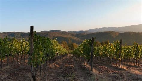 Architetto In Cantina Toscana Wine Architecture Il Vino Tra Forma E