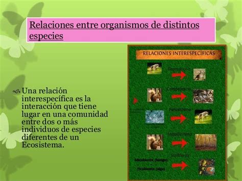 Grupo 4 Relaciones Entre Distintas Especies