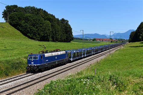 Im Sommer Konnte Man In Oberbayern Eine Kleine Sensation Erleben