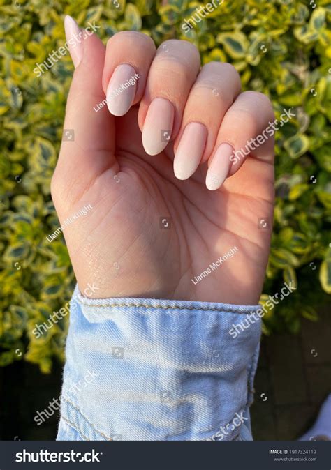 French Ombré Baby Boomer Gel Nails Stock Photo 1917324119 Shutterstock