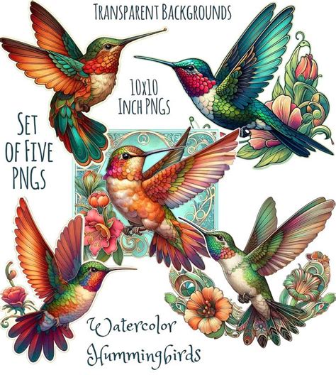 Watercolor Hummingbird Pngs Printable Hummingbirds Set Of X Inch