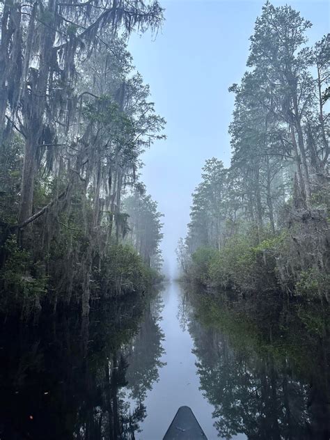 Okefenokee Swamp Platform Camping - La Vie Zine