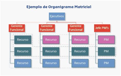 Tipos De Organigramas Estructura Matricial Estructura Matricial