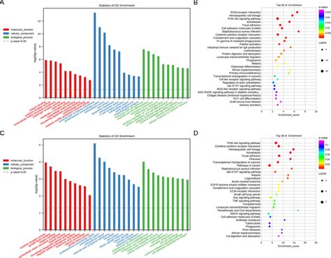 Go And Kegg Pathway Enrichment Analysis Mrnas In Cerna Networks A B