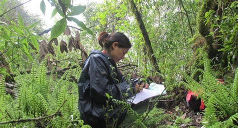 The Changing Role of Women in Red Panda Conservation