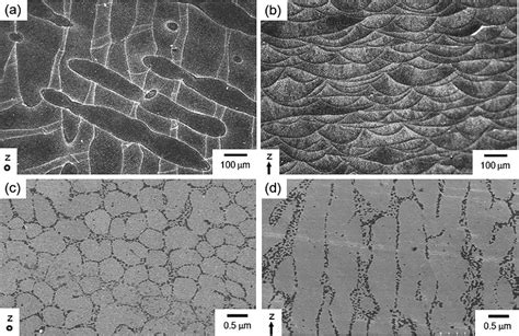 A B Optical Micrographs C D Sem Images Showing Microstructure Of Download Scientific