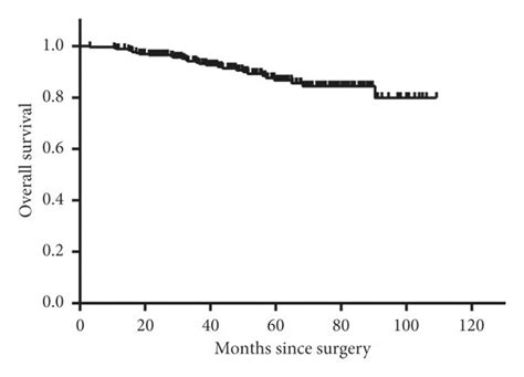 Kaplan Meier Survival Curves In All Included Tnbc Patients A Dfs