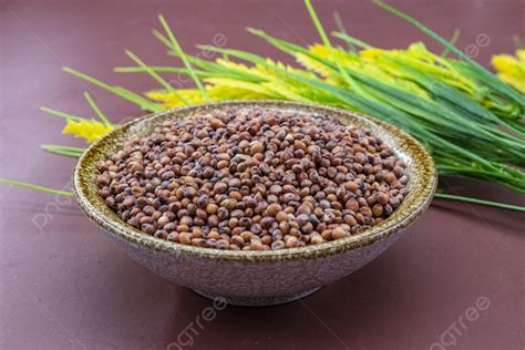 Background Sebuah Mangkuk Beras Sorghum Bahan Fotografi Hd Makanan