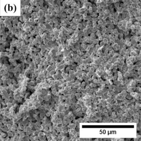 Sem Images Of Fracture Surface Of The A Lnc Sintered At And