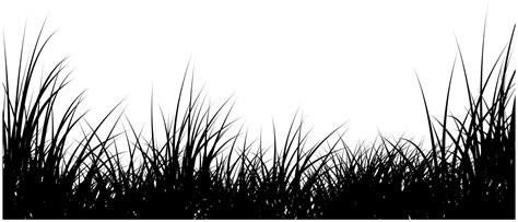 grass black silhouette banner 6552248 Vector Art at Vecteezy