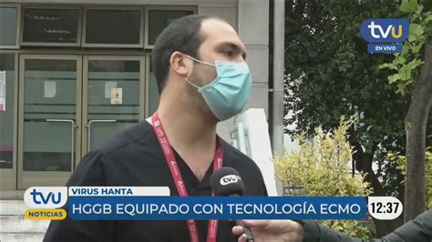 Virus Hanta contagio síntomas y tratamientos YouTube