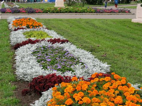 Клумба - виды и способы создания садовых клумб | Sadik.ru