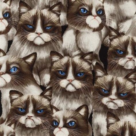 Grumpy Cat Fabric Cream Brown And Blue Grumpy Cat By Timeless