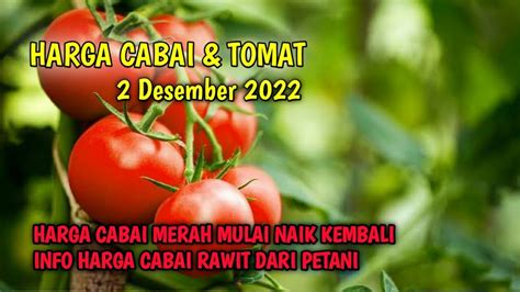 Harga Cabai Hari Ini 2 Desember 2022 Info Harga Cabai Rawit Merah