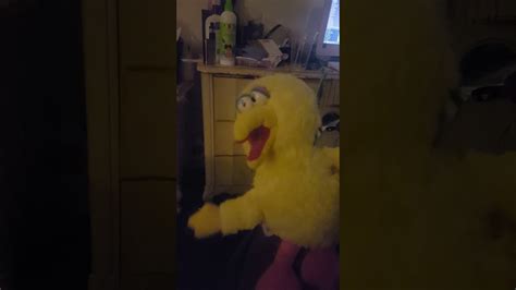 30 Years Later Barney And Big Bird Youtube