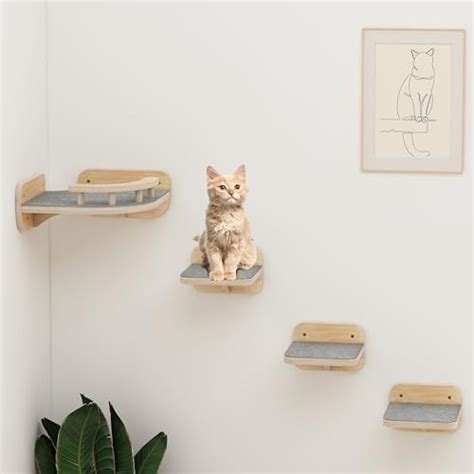 Top Best Cat Shelves Guides By Rebatekey