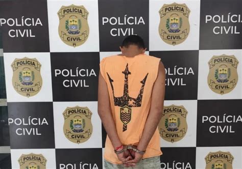 Polícia Civil Prende Homem Acusado De Furto Em Luzilândia Gp1