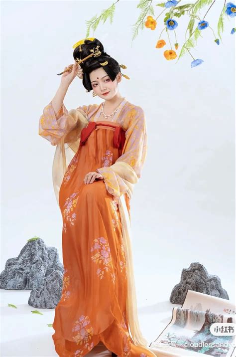 Hanfu Chinese Tang Dynasty Traditional Clothing Hanfu Chinese