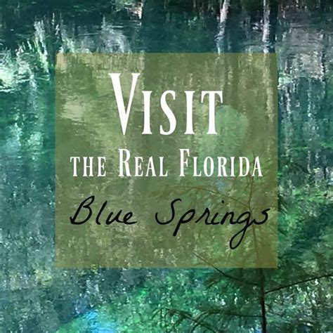 Blue Springs ~ The Beautiful & Real Florida You Need to See