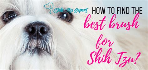 Best brush for Shih Tzu - Reviews and A buyers guide (July 2020)