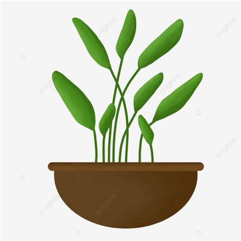 Planta En Maceta PNG Plantas Verdes Imágenes Prediseñadas De Planta