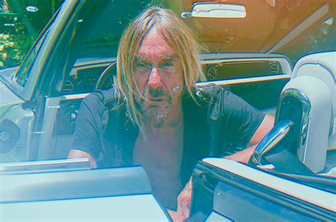 Stream Iggy Pops New Album ‘free Billboard Billboard