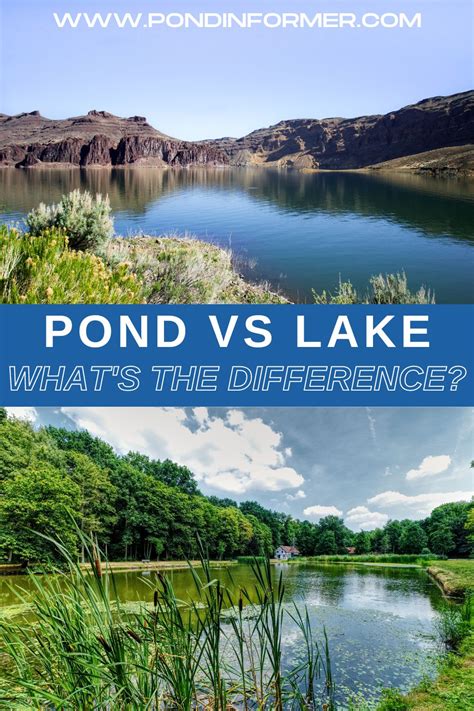 Pond vs Lake: Understanding the Key Differences