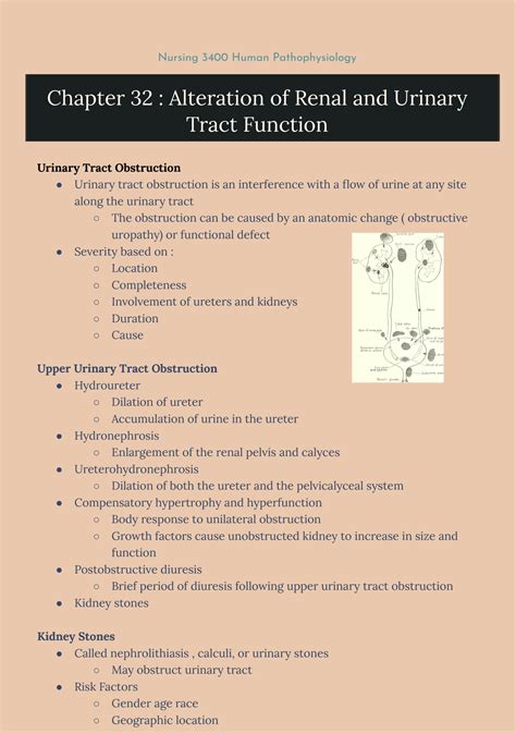 Solution Nurs Human Pathophysiology Chapter Alteration Of