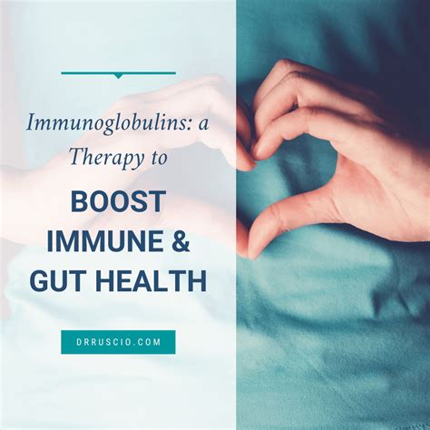 Immunoglobulins A Therapy To Boost Immune And Gut Health Dr Michael Ruscio Dc