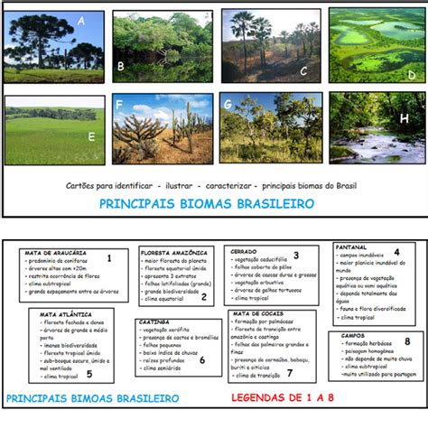 O Melhor da Biologia Atividade de Observação e descrição Biomas