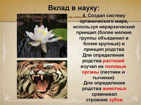 Карл Линней - презентация онлайн