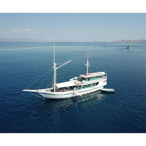 Rewarding Spots In Komodo Diving Liveaboard Seguridadconjusticia