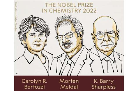 Premio Nobel De Qu Mica A Carolyn Bertozzi Morten Meldal Y Barry