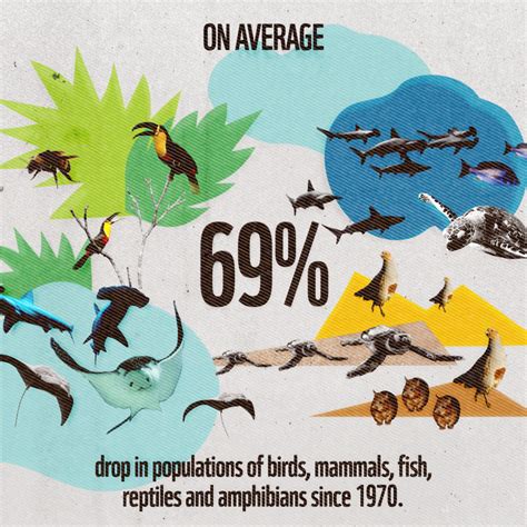 Wwf Wwfs Living Planet Report Reveals A Devastating 69 Drop In