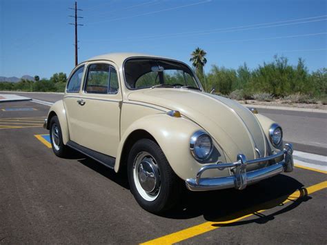 Thesamba Savanna Beige Vw Beetle