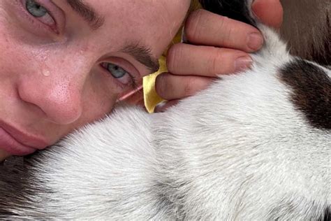 Billie Eilish Se Despide De Su Mascota Pepper LaBotana