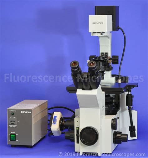 Fluorescence Microscopes Olympus Ix Inverted Fluorescence Phase