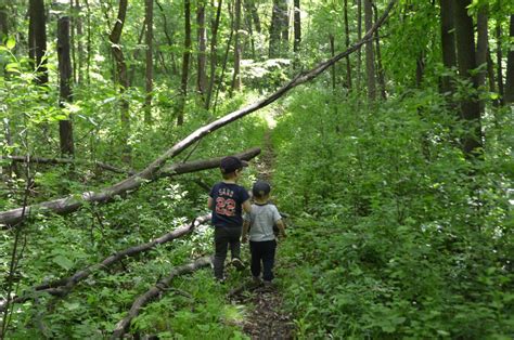 Exploring McLeod County Parks: Bushwhacking in Lake Marion Park ...