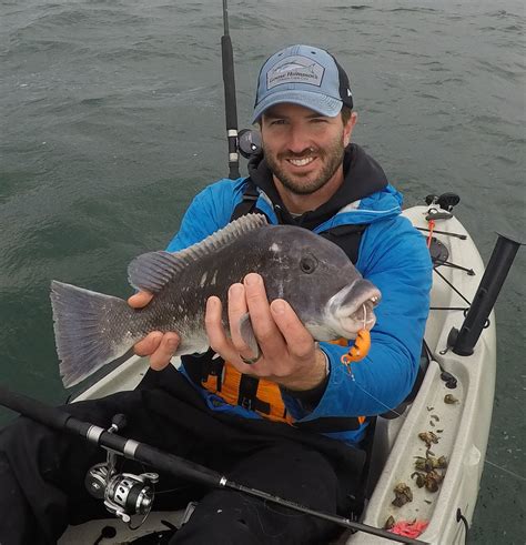 Tautog And Scup Kayak Fishing Cape Cod Massachusetts My Fishing Cape Cod