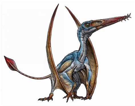 New species of pterosaur discovered in Patagonia