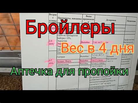 Информация о пропойке индюшат с первого дня жизни | Таблица пропойки ...
