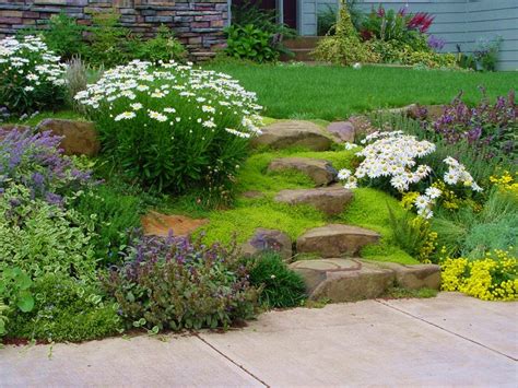 Plantes Couvre Sol Croissance Rapide Dans Le Jardin Moderne