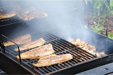 Best Fish To Smoke Ideas Own The Grill