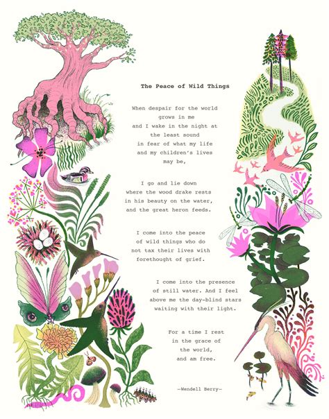 The Peace Of Wild Things Illustrated Poem Poem Design Storybook Art